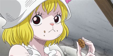 carrot de one piece|One Piece: 10 Most Adorable Carrot Moments,。